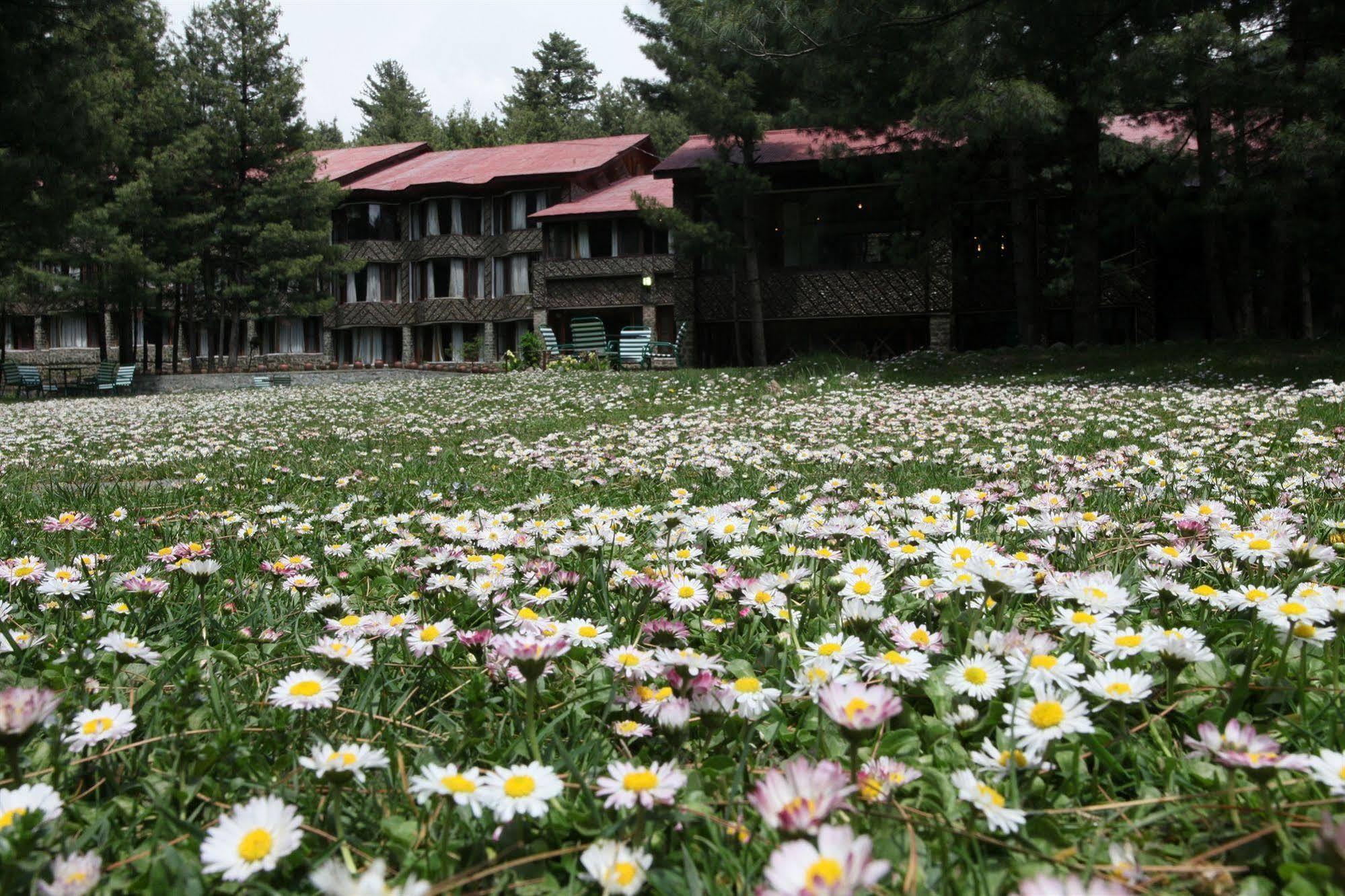Senator Pine N Peak Hotel Pahalgam Bagian luar foto
